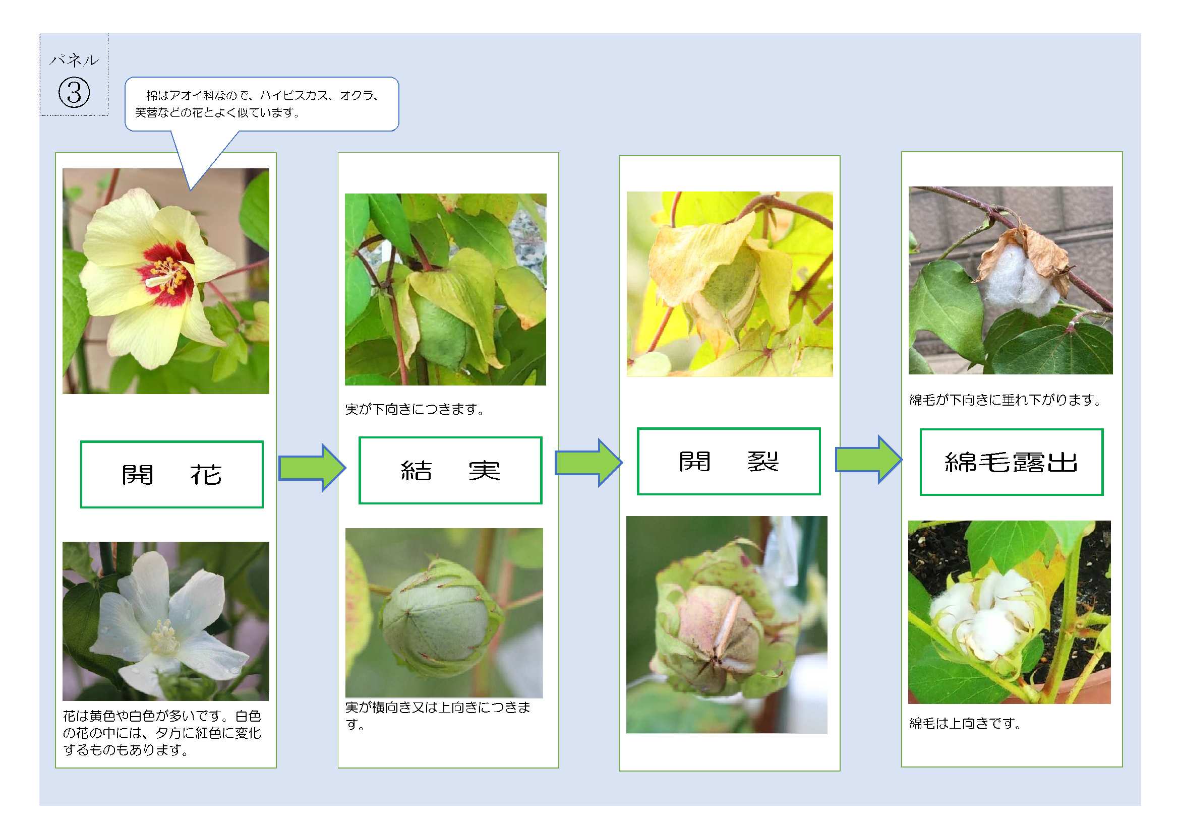 R5エコ展示パネル-3